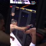 Fights Get INTENSE With Non Stop Punches #shorts #mma #combatsports #martialarts #mmafights  #ufc