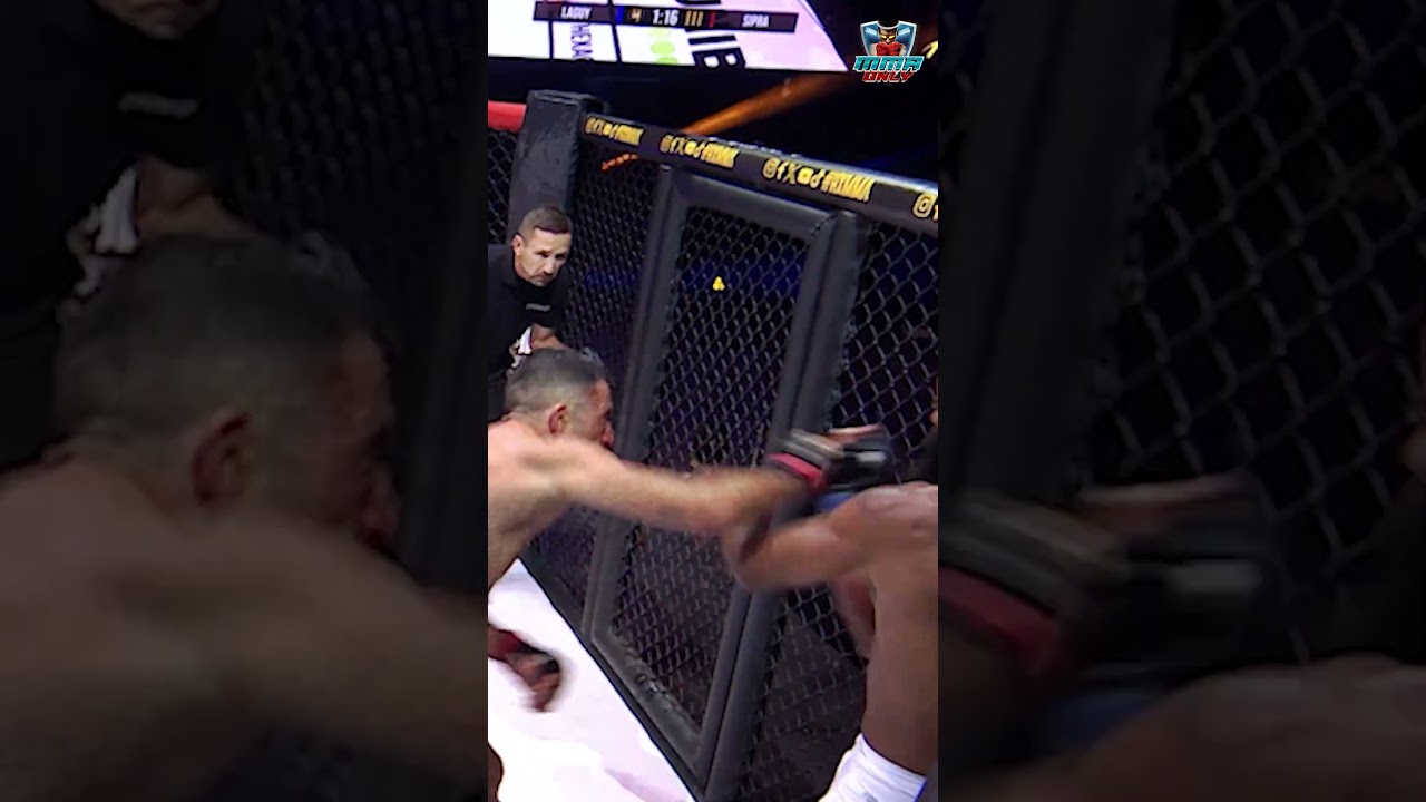 Fights Get INTENSE With Non Stop Punches #shorts #mma #combatsports #martialarts #mmafights  #ufc