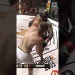 Jaw-Dropping Knockout! #shorts #mma #combatsports #martialarts #mmafights