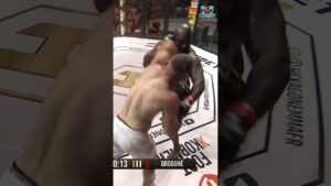 Jaw-Dropping Knockout! #shorts #mma #combatsports #martialarts #mmafights