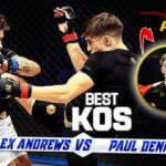 Knockout Punch: Andrews vs Denis HEXAGONE MMA (Full Fight)