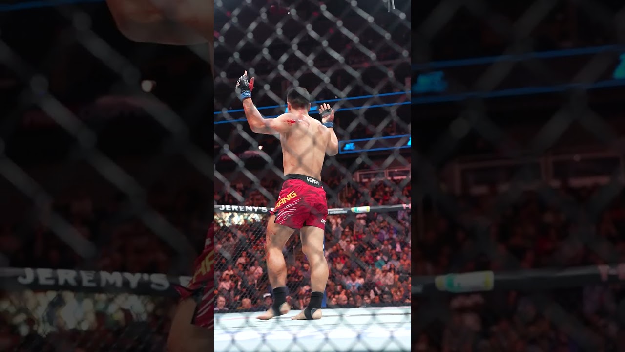 NASTY elbows from Zhang Mingyang 😳 #ufckansascity