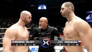 Brandon Halsey (USA) vs Jiri Prochazka (Czech) | KNOCKOUT, MMA fight HD, 60 fps