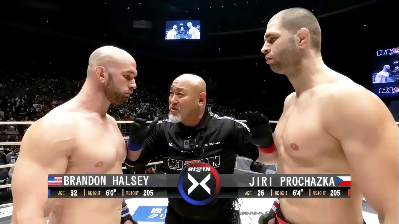 Brandon Halsey (USA) vs Jiri Prochazka (Czech) | KNOCKOUT, MMA fight HD, 60 fps
