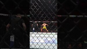 what a headkick from Marco Tulio 🤯 #ufc314