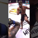 He Never Saw It Coming! #shorts #mma #combatsports #martialarts #mmafights  #ufc
