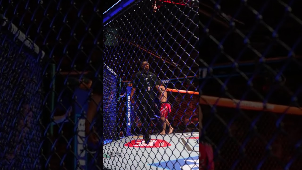 Azamat Bekoev with the KNOCKOUT 😳 #ufcdesmoines