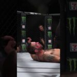 GREATEST HEAD KICK KO? 🤔 #ufc