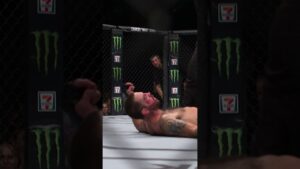 GREATEST HEAD KICK KO? 🤔 #ufc