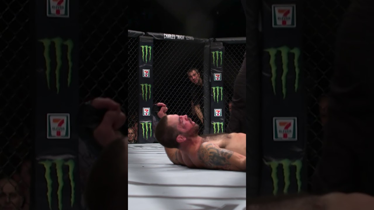GREATEST HEAD KICK KO? 🤔 #ufc