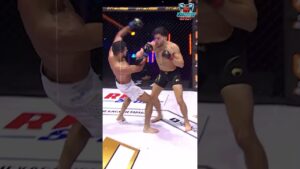 Non Stop Punches #shorts #mma #combatsports #martialarts #mmafights  #ufc