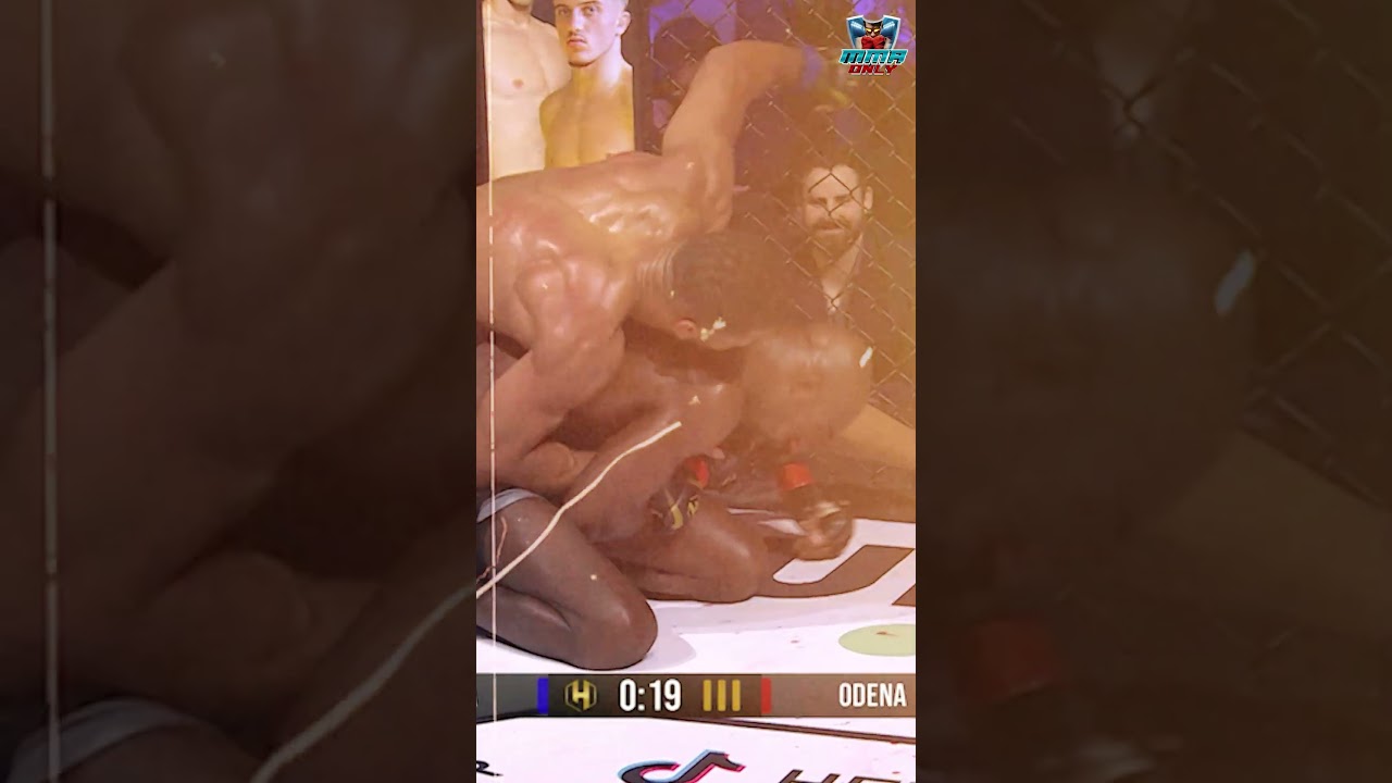 Punches, Kicks, & Finishes #mma #shorts #mmafight #ufc