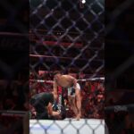 Quang Le put him to SLEEP 😴 #ufcdesmoines