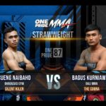 CUENG VS BAGUS