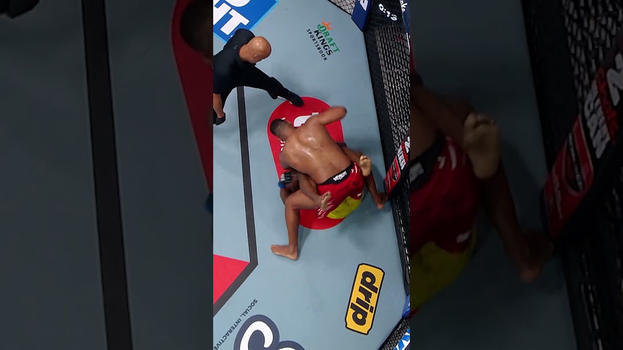 FLASH KNOCKOUT 💥 #ufc316