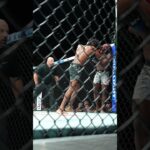 Front Row view of Phil Rowe's KNOCKOUT 💀 #ufcatlanta