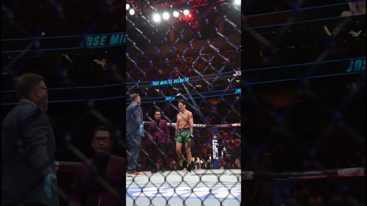 Jose Miguel Delgado knocks him out with a KNEE 🚨 #ufc317