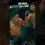 Salah Satu Pertandingan Terbaik MMA! Aditya Ginting vs. Suwardi II