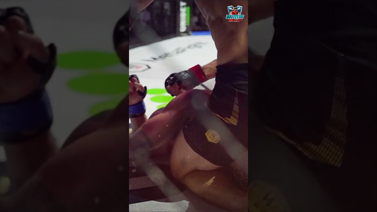 The DEADLIEST Punches and Kicks in MMA