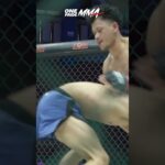 Highlight Burdan vs Panji | One Pride MMA 87 #mma #combatsport #onepride #onepridemma