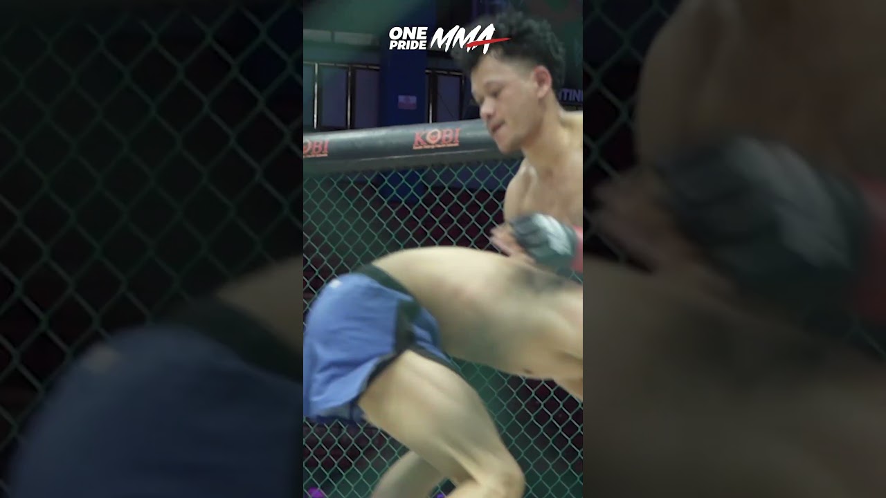 Highlight Burdan vs Panji | One Pride MMA 87 #mma #combatsport #onepride #onepridemma