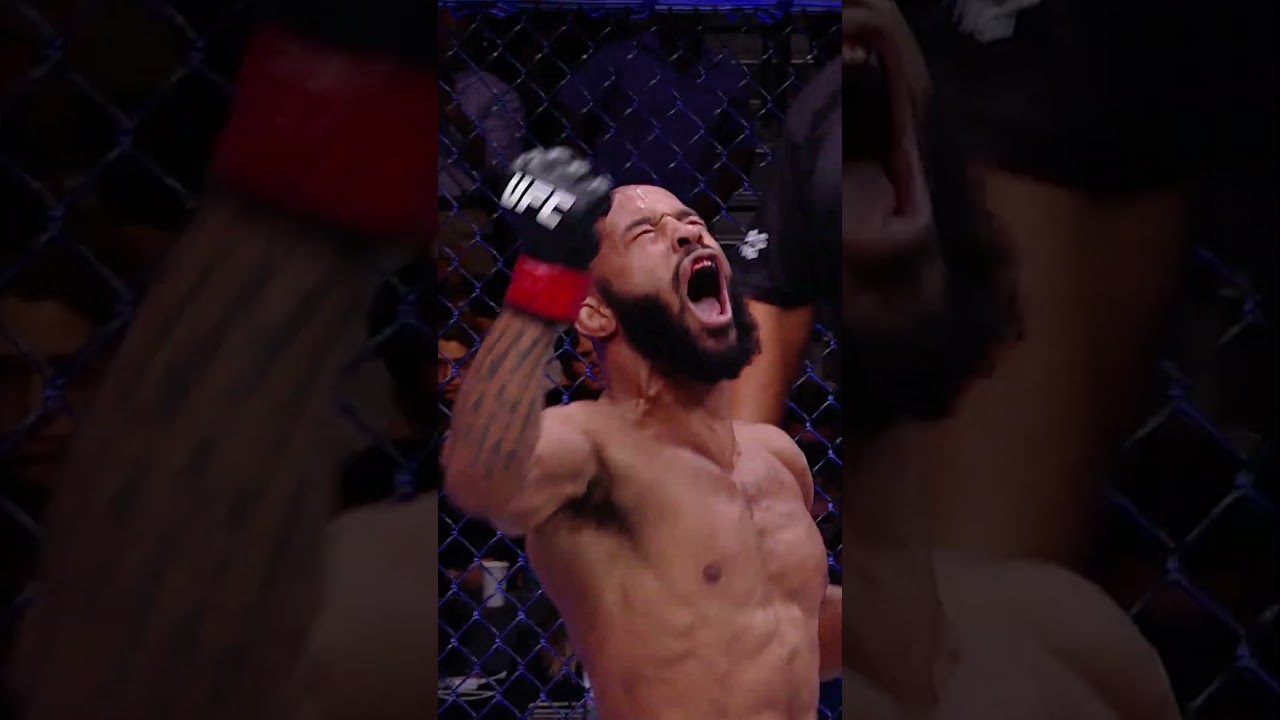BEST ARM BAR OF ALL TIME?!? 😳 #ufc