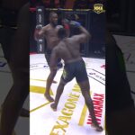 Brutal Knockout in Seconds! 🥊 #Shorts