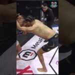 Brutal KO Out of Nowhere! 💣 #mmafighters #martialarts #sports #brutal