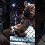 Tatsuro Taira is dangerous!! 😳 #ufcvegas108