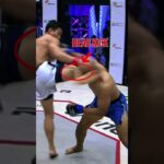Anatomy of KO  Brutal Head Kick KO dari Yudi Cahyadi! 🗡️🔥Pada One Pride 87 silam