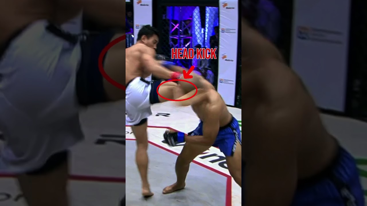 Anatomy of KO  Brutal Head Kick KO dari Yudi Cahyadi! 🗡️🔥Pada One Pride 87 silam