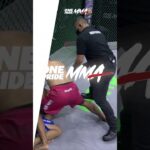 17 KO 8 SUBMISSION 2025