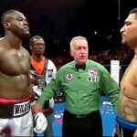Deontay Wilder (USA) vs Chris Arreola (USA) | KNOCKOUT, BOXING fight, HD, 60 fps