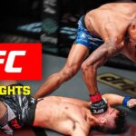 EVERY KNOCKOUT From UFC Vegas 109! 🚨