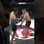 Saksikan kembali pertarungan spektakuler antara 2 petarung finisher  welterweight One Pride MMA!