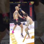 Two Fights, One Goal: Dominate the Cage 🥊🔥#mmafighters #martialarts #sports #brutal