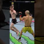 wheelkick KO 🚨 #ufc