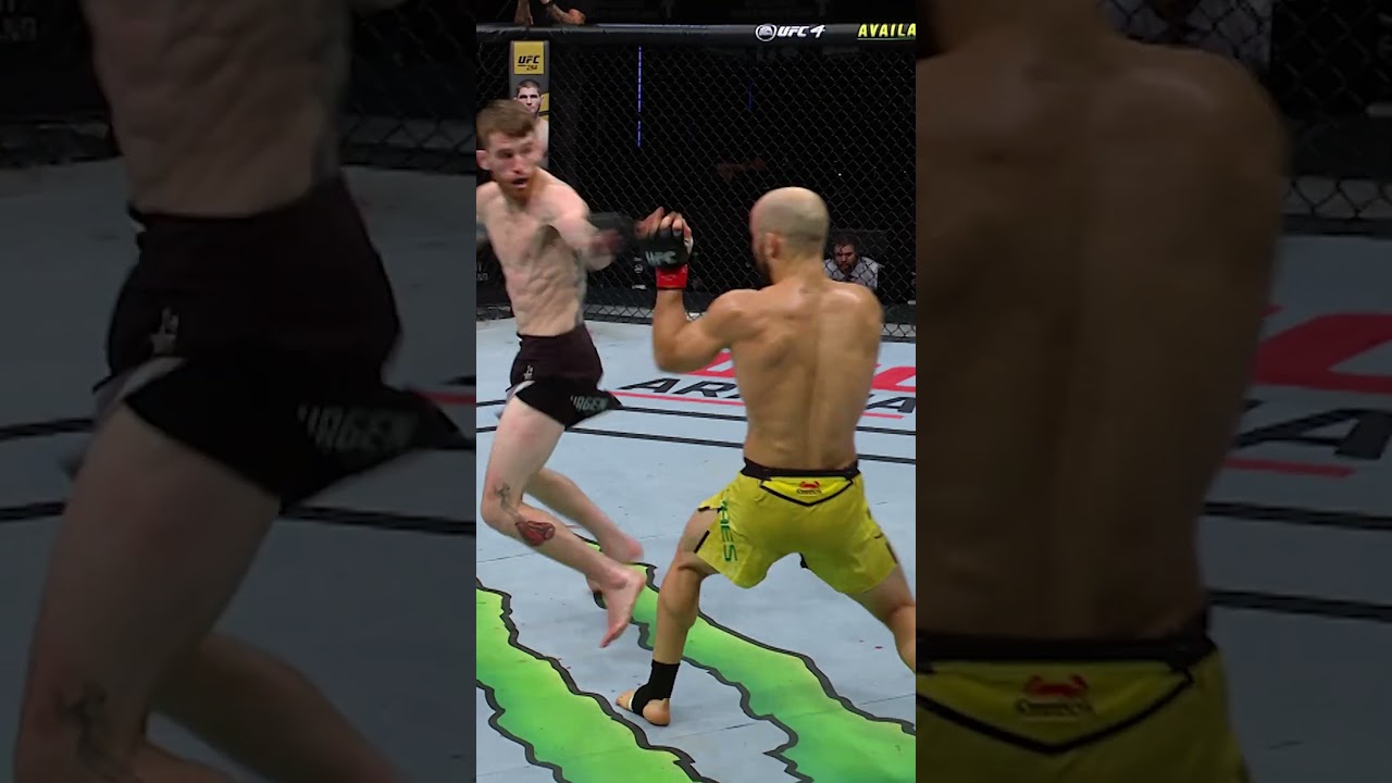 wheelkick KO 🚨 #ufc