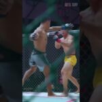 PETARUNG TERBAIK DIVISI FLYWEIGHT SIAP GUNCANG OKTAGON! #short #onepridemma #mma