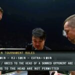 Mirko Cro Cop Filipovic (Croatia) vs Baruto Kaito (Estonia) | KNOCKOUT, MMA fight, HD