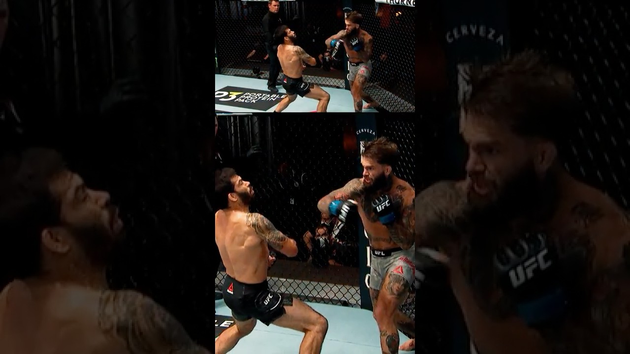 Frankie Edgar explains the Science of Boxing