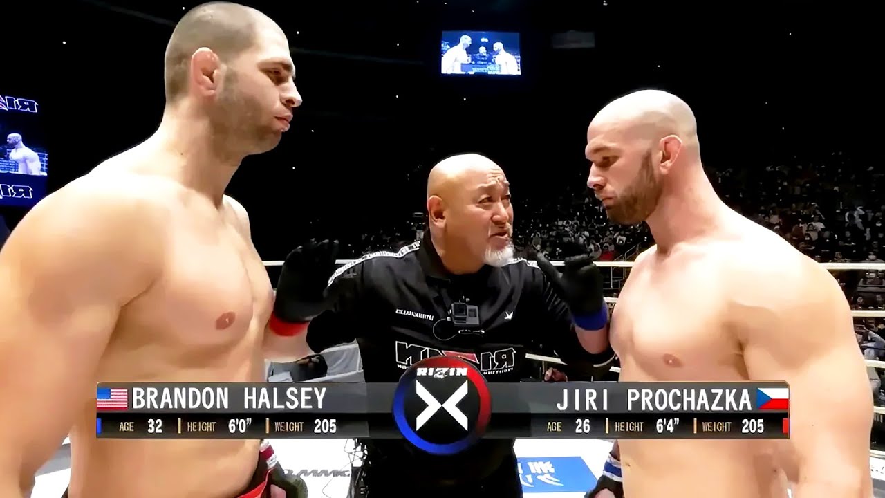 Jiri Prochazka (Czech) vs Brandon Halsey (USA) | KNOCKOUT, MMA fight, HD, 60 fps