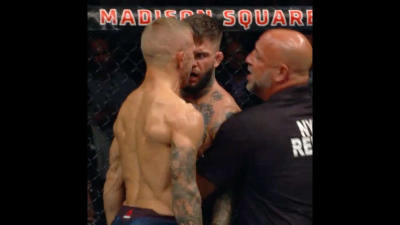 things got heated! 🔥 #ufcshorts