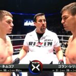Vadim Nemkov (Russia) vs Goran Reljic (Croatia) | KNOCKOUT, MMA fight, HD