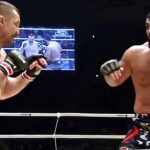 Mirko CRO COP Filipovic (Croatia) vs Amir Aliakbari (Iran) | KNOCKOUT, MMA fight HD, 60 fps