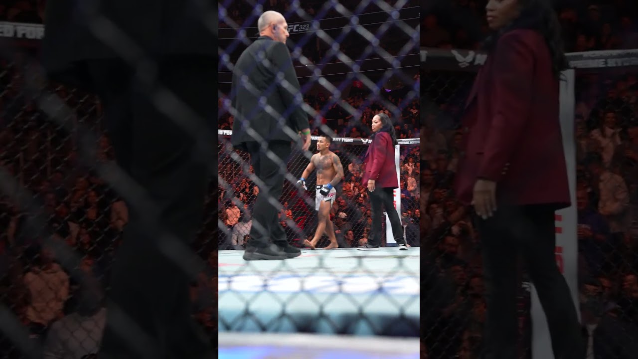 Alexandre Pantoja just broke his arm... 🤢 #ufc323