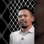 ART OF MMA  - OCTAGON