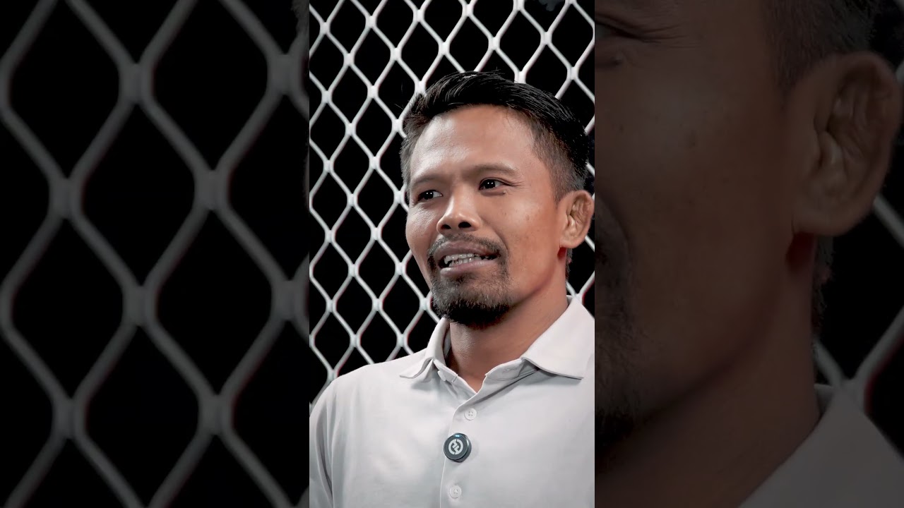 ART OF MMA  - OCTAGON