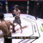 Borja Garcia's LEG KICK Clinic Ends in Brutal TKO!
