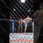 HOLY SH*T! HEAD KICK KNOCKOUT 😲 #ufcvegas112